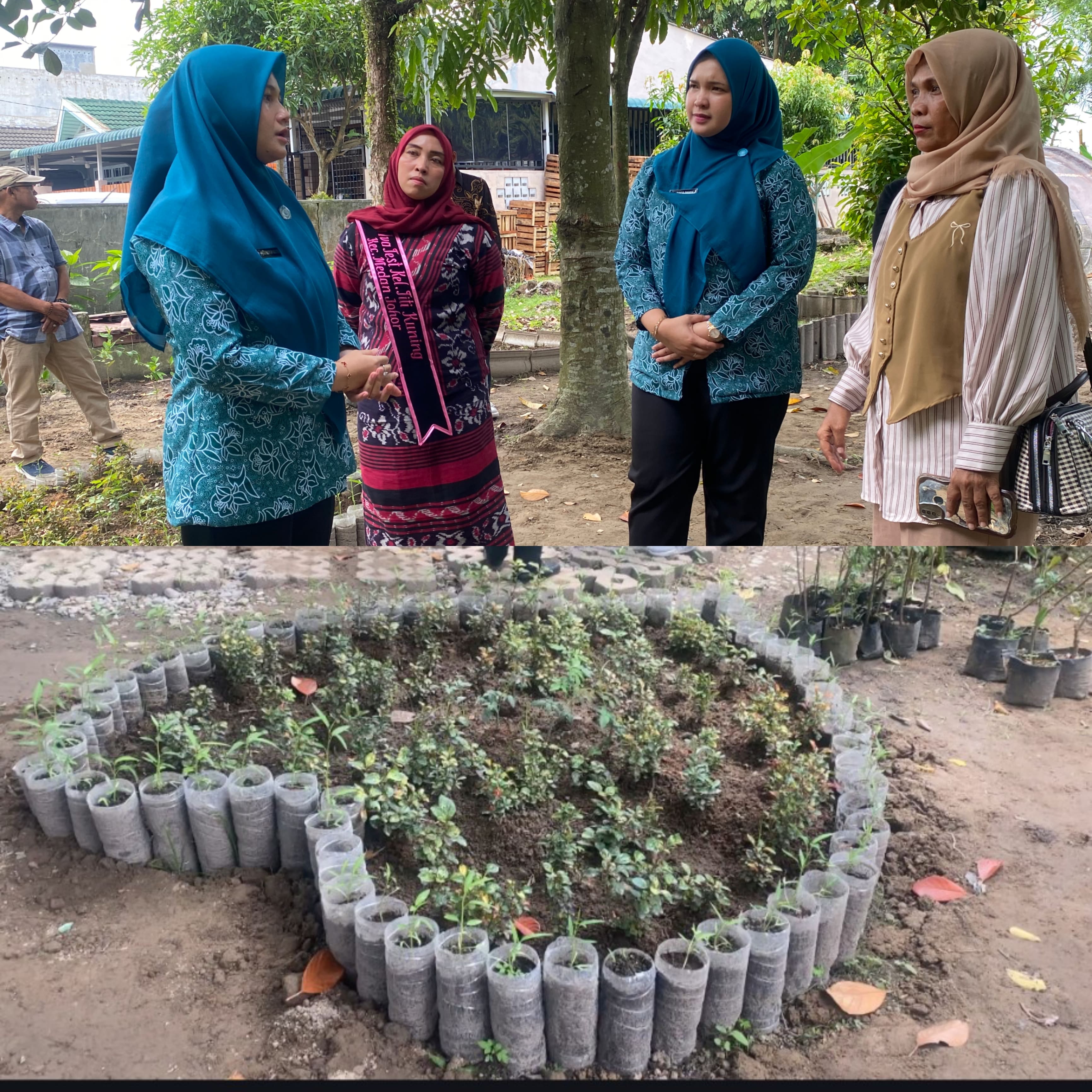 Ketua TP PKK Kecamatan Medan Johor meninjau taman hati pkk di kelurahan titi kuning.